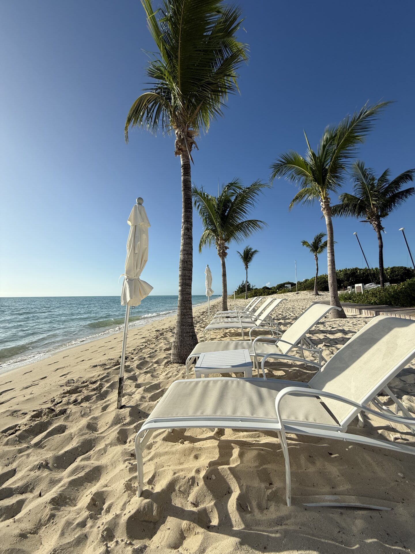 turks and caicos palm tree beach view long bay