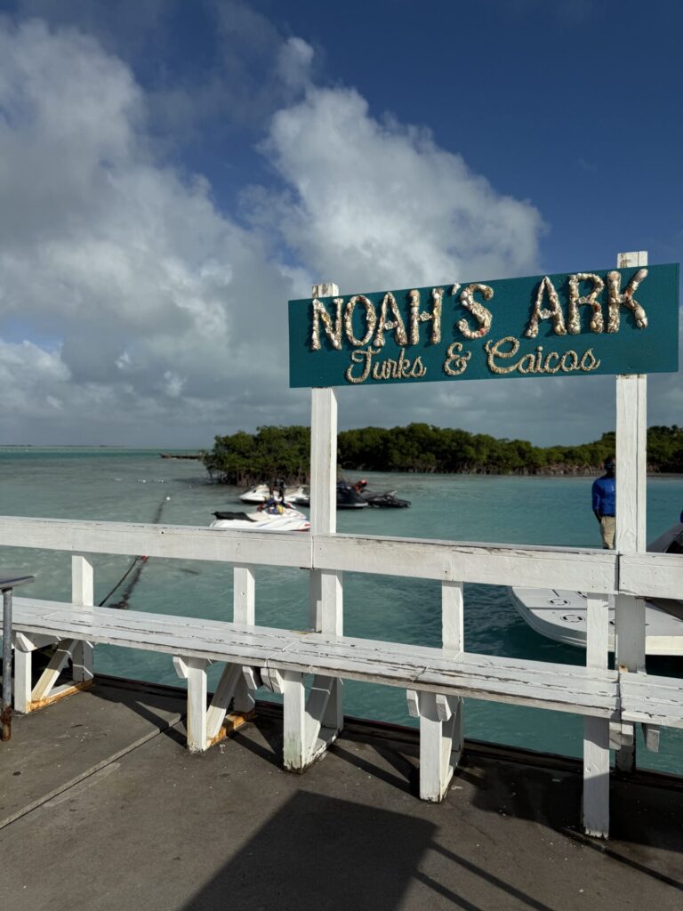 noahs ark turks