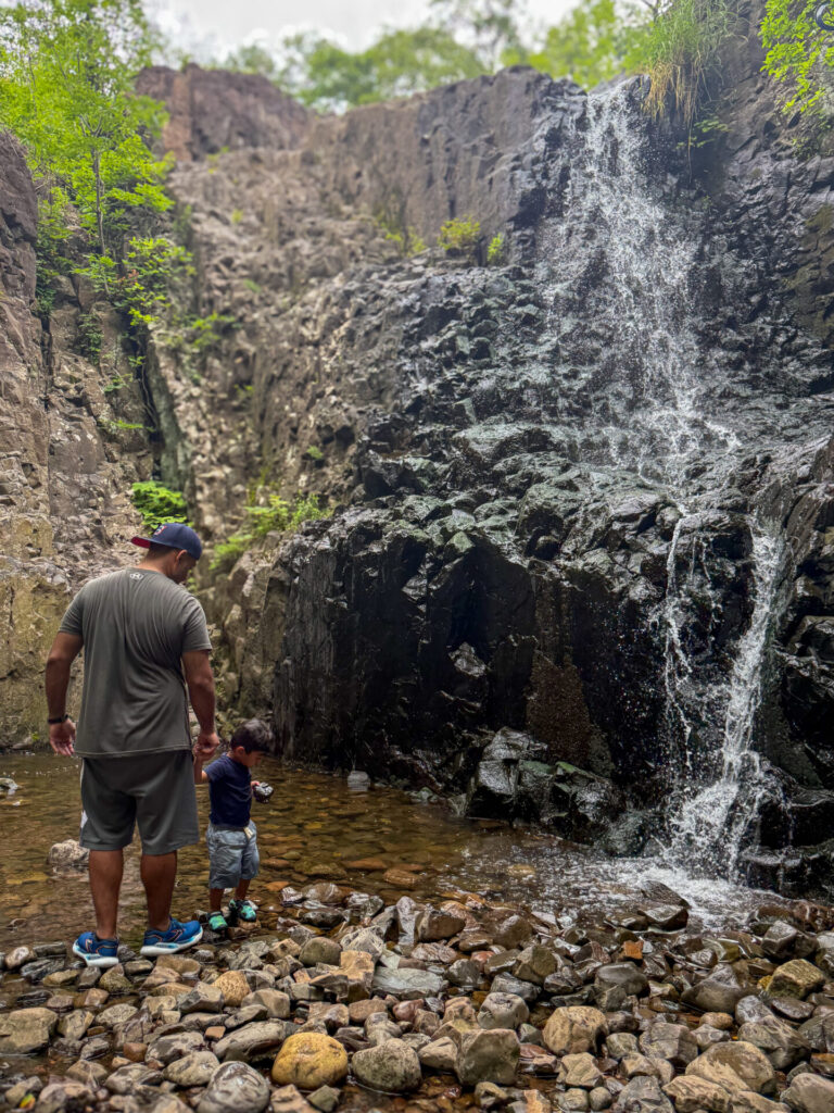 hemlock falls