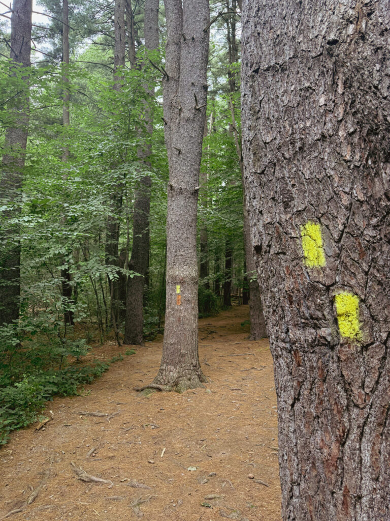 trail markers
