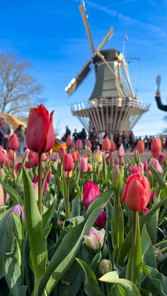 keukenhof