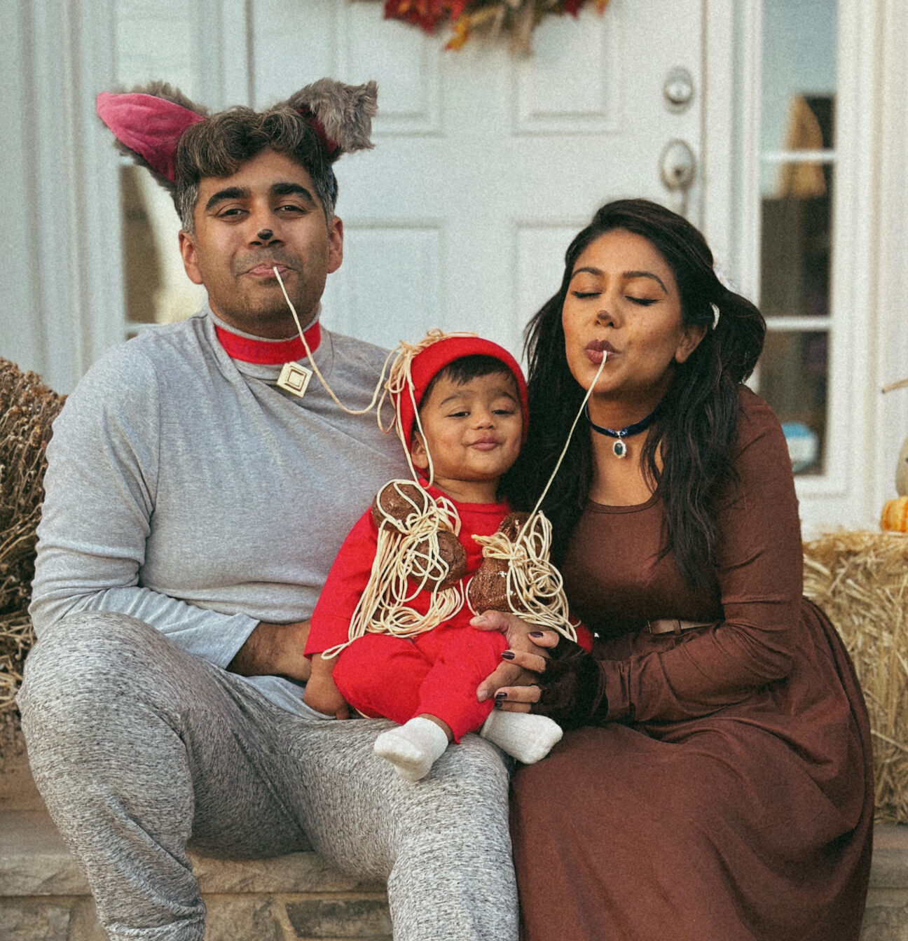 Lady & the Tramp family costume