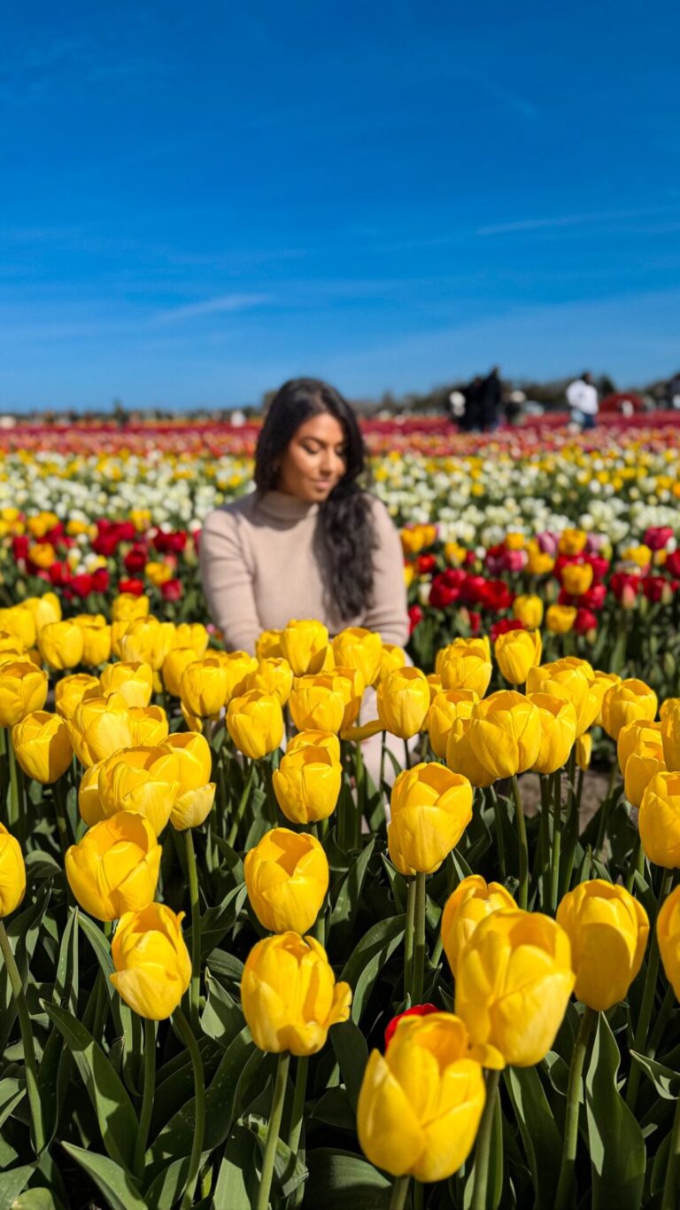Tulip Fields Netherlands with Kids: Keukenhof + Tulip Barn Guide