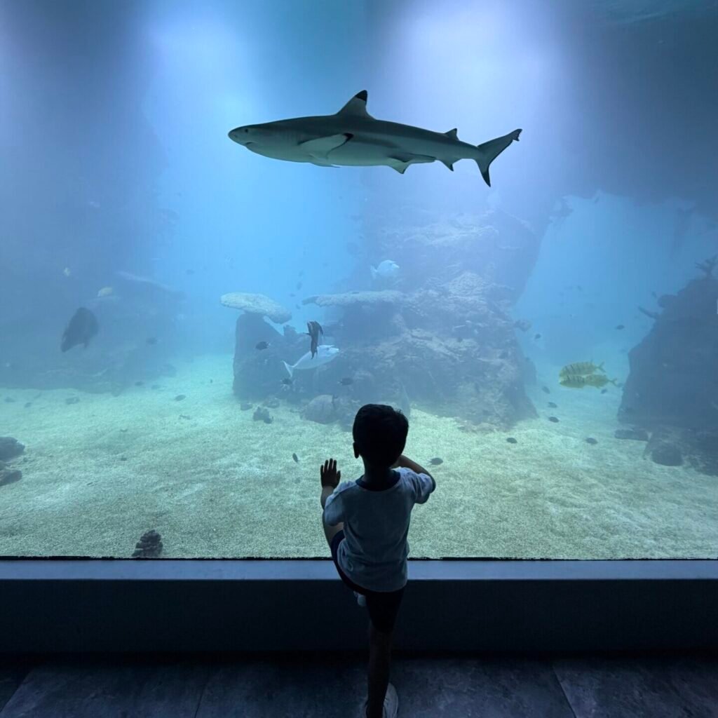 haus de meers aquarium 